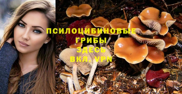 ГАЛЛЮЦИНОГЕННЫЕ ГРИБЫ Володарск